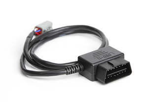 Ford: Haltech Ford MK1 Radio DTM4 CAN to OBDII CAN Cable 0.8 / 2.6Ft - HT-135001