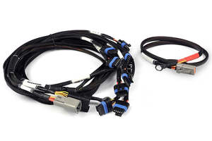 Ford: Haltech Nexus V8 IGN-1A Ford Harness - HT-186061