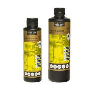 Flax Seed Oil: Super Balance