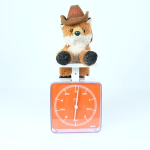 Products: 1980s Kitchen Scales