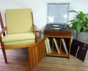 Products: Mid-Century Record Cabinet