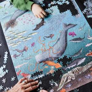 Puzzles: Whale Poo and CO₂ Puzzle