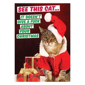 Christmas Cards: Christmas Greeting Card - See This Cat Christmas