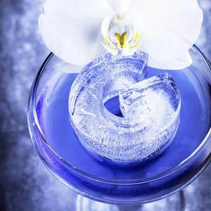 Couples: Ice Cube Tray - G For Gin Lovers