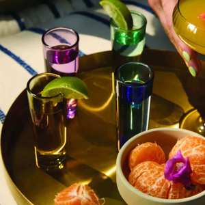 Drinkware: The Gracie Set Of 4 Shot Glasses