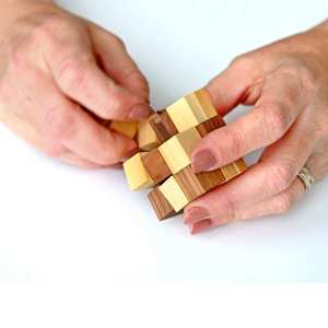 Gifts For Teachers: Ecological Brainteasers 6 Pack