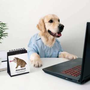 Gifts For Teachers: Daily Doggo Desktop Flipbook
