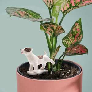 Couples: Pee My Plants Dog Waterer