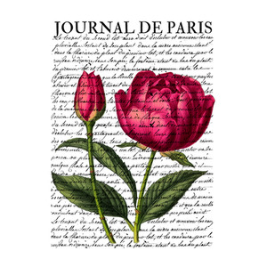 Journal De Paris FUNKY GLASS ART