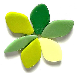 Fallen Petals - Euphorbia Mix FUNKY GLASS ART