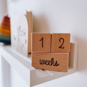 Final Clearance: Milestone wooden block set