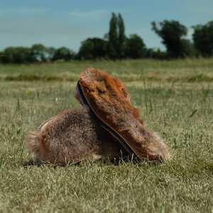 Possum Shoe & Boot Inner Sole