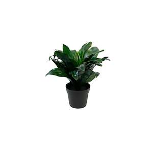 Faux Plants: Potted Dracena 23cm