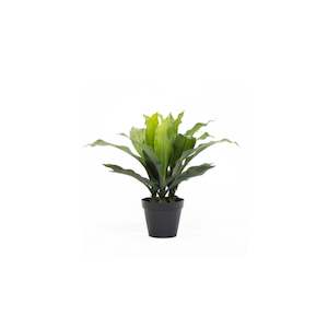 Faux Plants: Potted Dracena Plant 54cm