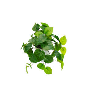 Faux Plants: Potted Philo Bush Plant