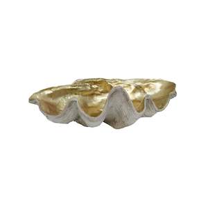 All Decor Home Accessories: Resin Clam Shell - Large Champagne