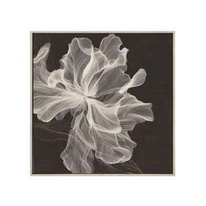 All Decor Home Accessories: Wall Art - Evolve - Canvas with Whitewash Timber Frame - 120x120cm