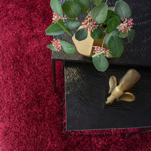 Accessories: Shaggy Pomegranate Rug