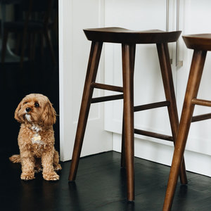 Bar Stools: Fuji Barstool Deep Oak (W39 D37 SD32 SH65CM)