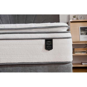 Dream Plush Mattress-Queen