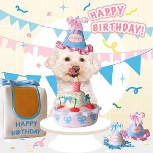 🎂 Birthday Snuffle Gift Box Set