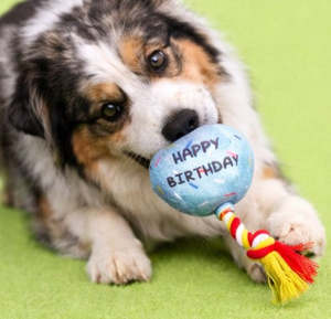 🎈Barkday Balloon Plush Tug Dog Toy