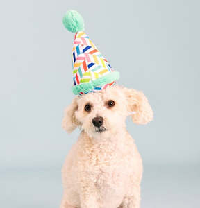 🎂 Barkday Party Hat Plush Dog Toy [Light Blue]