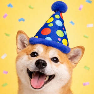 🎂 Barkday Party Hat Plush Dog Toy [Dark Blue]