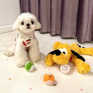 Play: 🥎Puppy Spiky Squeaky Chew Balls Set (3 pcs)