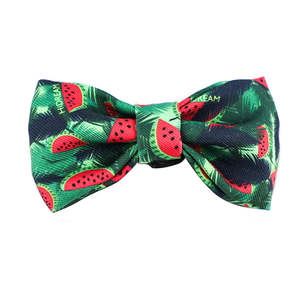 Accessories: Colorful Series Bow Tie [Watermelon]