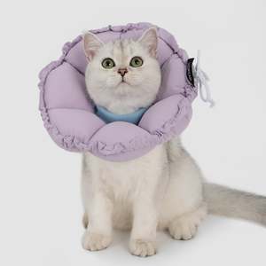 Flower Shaped Elizabeth Collar for Dog & Cat [Wisteria Purple]