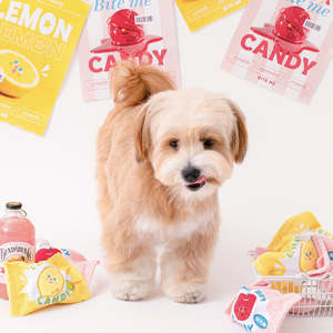 %E2%9D%84%EF%B8%8Fwinter Sale Toys %F0%9F%92%9B: 🍋 Fruity Candy Squeaky Toy 🍒