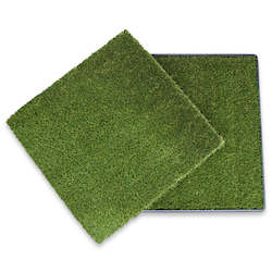 Dogs: PupGo 80 with Extra Grass Mat