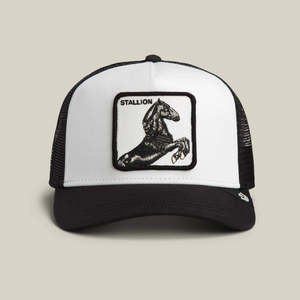 Hats: GOORIN STALLION TRUCKER HAT