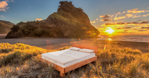 Products: Dorsal Soft Pillow, Rounded Sunflower Foam with Knitted Cover