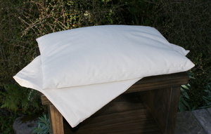 Buckwheat Hull Pillow