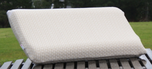 Dorsal Contoured Seed Foam Pillow
