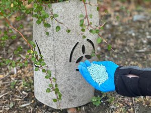 Two-Page Maintenance Plan - - FuturEcology