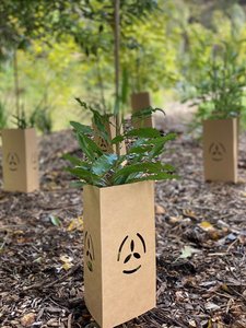 Two-Page Planting Plan - - FuturEcology