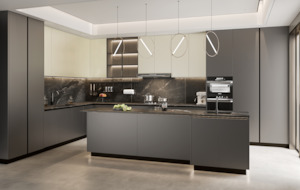 Frontpage: SleekSteel Series - Modern Steel Kitchen with Matte Finish and Integrated Storage