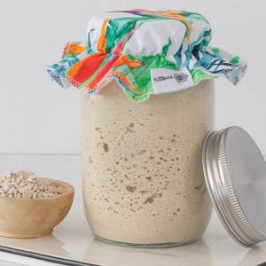Health Beauty: Organic Gluten-free Sourdough Starter Kit