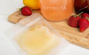 Health Beauty: JUN kombucha SCOBY (Organic)