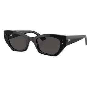 Mens Sunglasses: Ray-Ban Zena RB4430 667787 49 - Black Frame with Dark Grey Lens