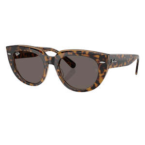 Ray-Ban Doreen RB2286 1292B1 - Havana Transparent Brown Frame, Dark Grey Lens