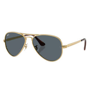 Ray Ban Sunglasses: Ray-Ban RB3925 Aviator Max 001/R5 Sunglasses