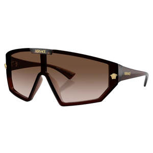 Versace Sunglasses: Versace VE4461 533213 Sunglasses
