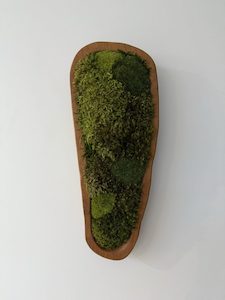 Wall Art: Beneath the surface