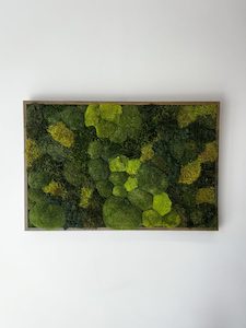Wall Art: Whispers of Earth