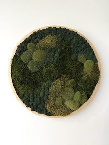 Wall Art: Canopy Edge