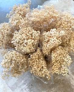 Dried Flower Arrangement: Dried Gypsophila